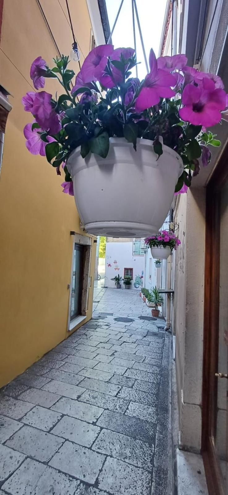 Townhouse Sea View Villa Zadar Exteriör bild